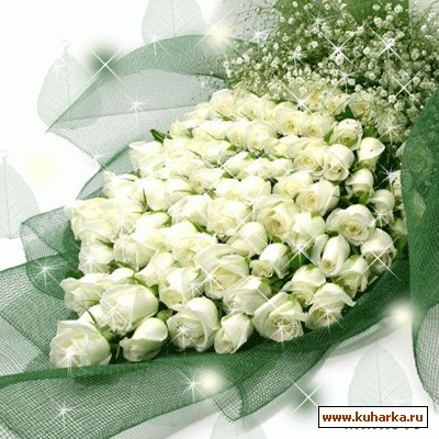 №16, Людмила Скворцова №16, Людмила Скворцова