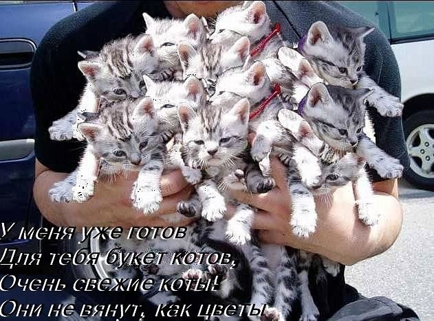 Аня Горщарук | Феодосия