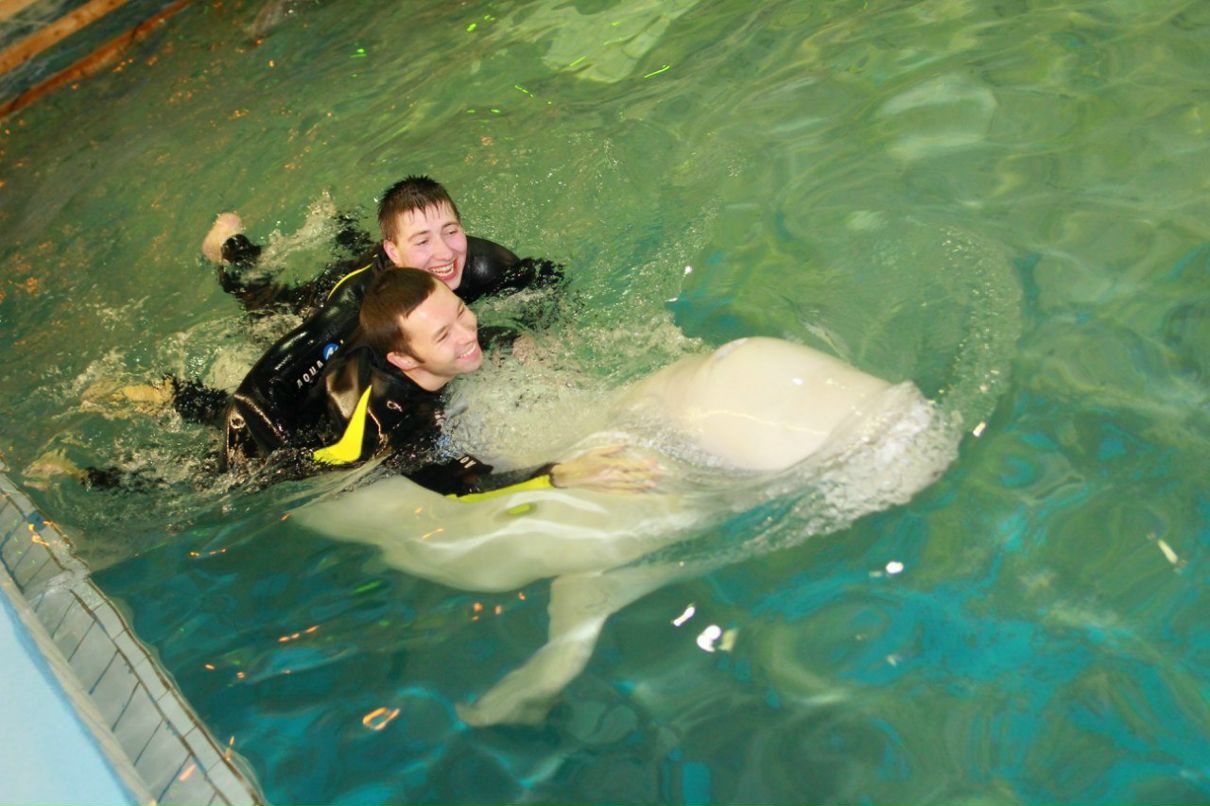 Роман Степанов Андреевич | Ярославль