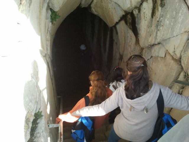 Полина Шарова | Nahalal