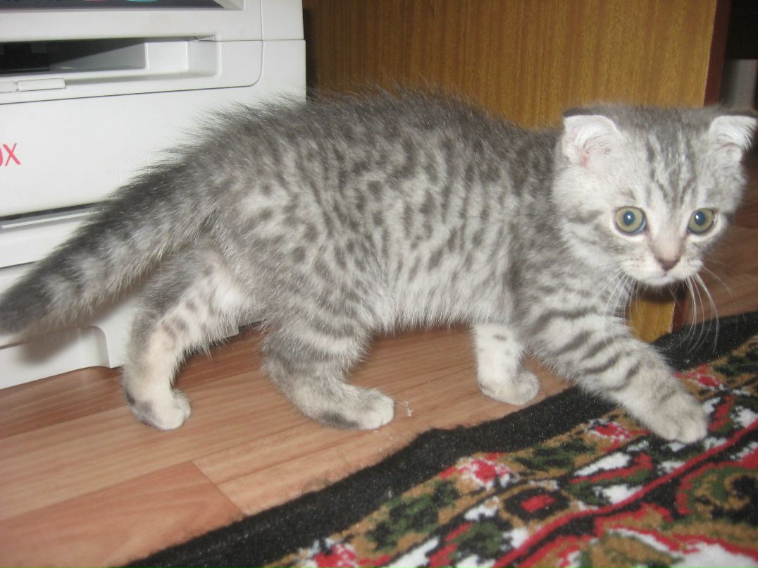 Валя Кужельная | Минск