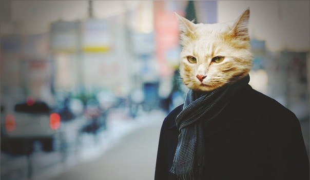 Эстет Эстет | Москва