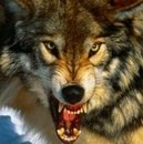 Владимир Гажийский | Одесса