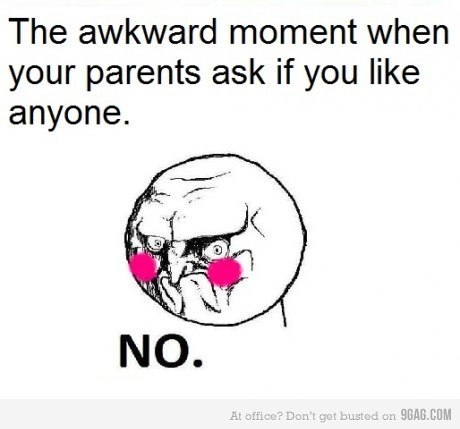 Котофалк Нимуро ome | Düsseldorf