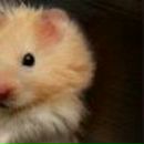 Любовь Щетникова | Екатеринбург