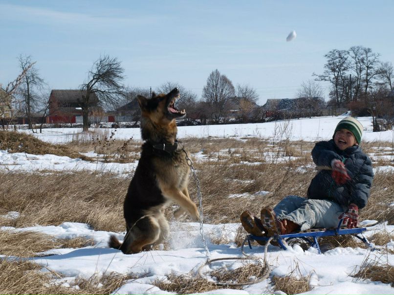 Інна Згривець | Киев