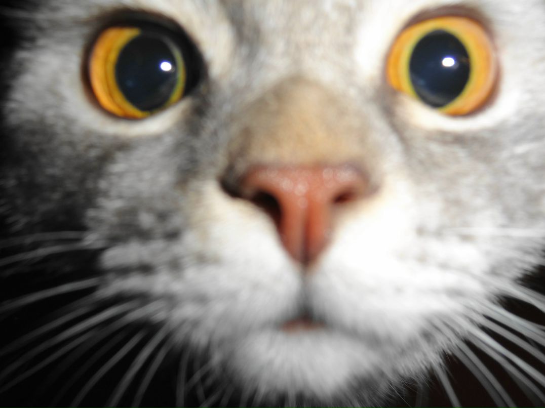 Анна Козак | Ростов-на-Дону