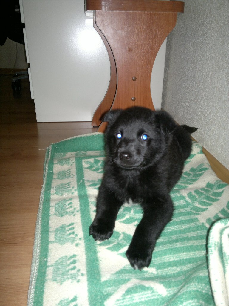 Максим Егоров | Казань