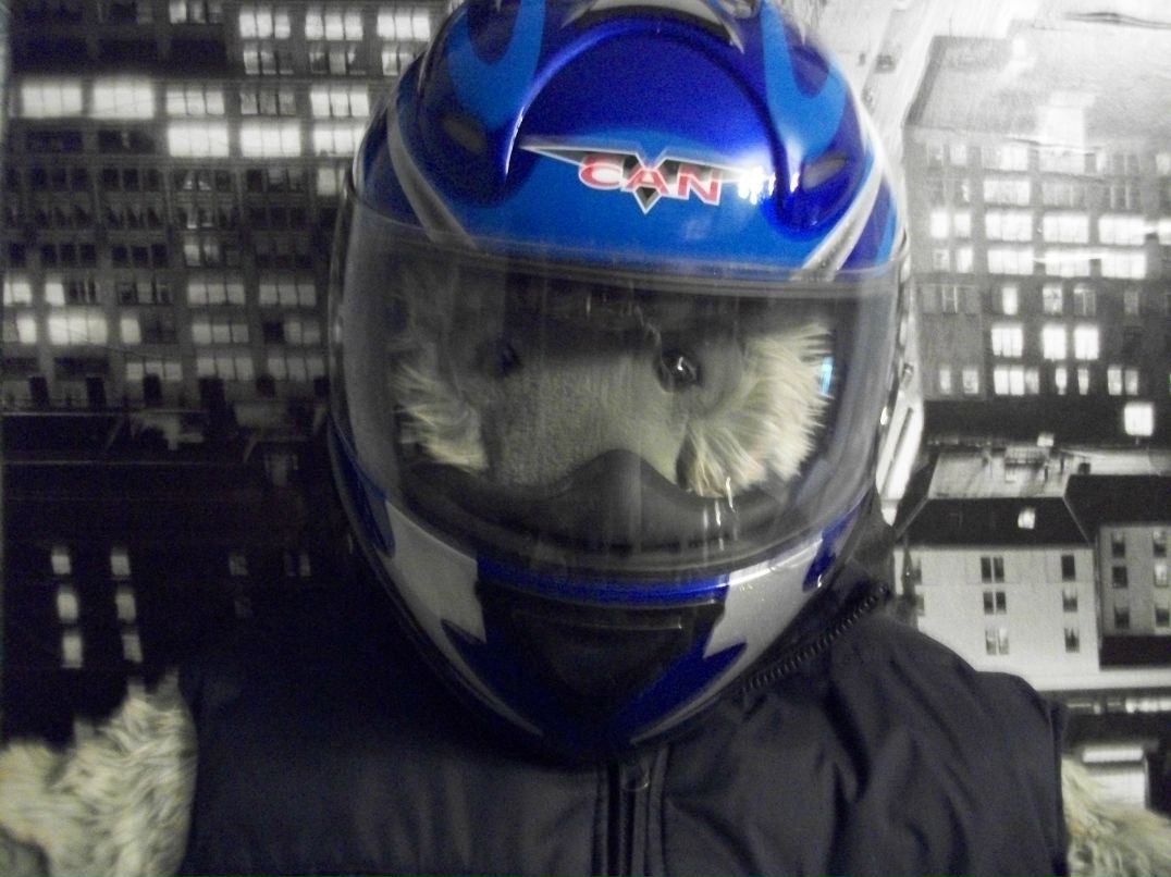 Юлия Крамаровская | Санкт-Петербург