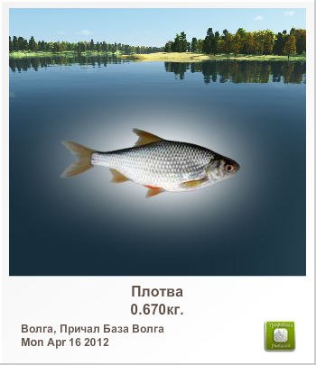 Александр Скрипкарь | Бабаево