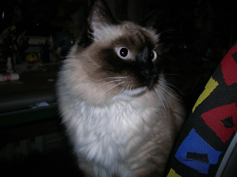 Валентин Папсуев | Москва