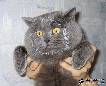 Алина Пидченко | Киев