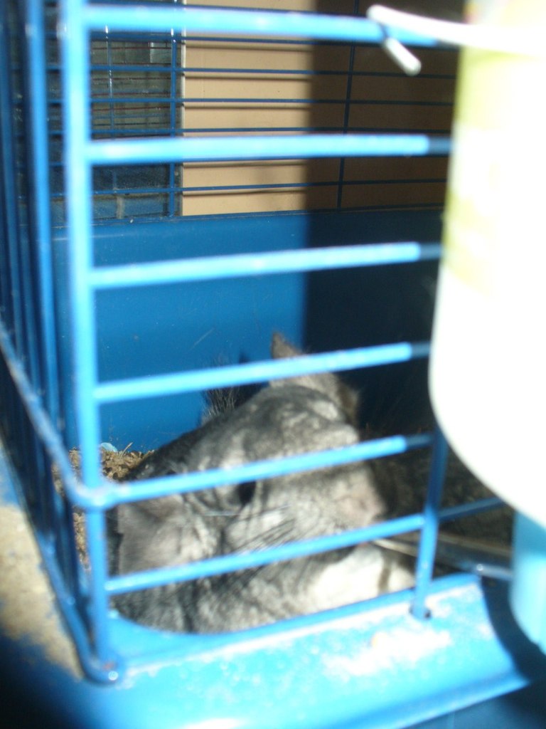 Галина Захарова *ГаЛиНкА* | Одесса