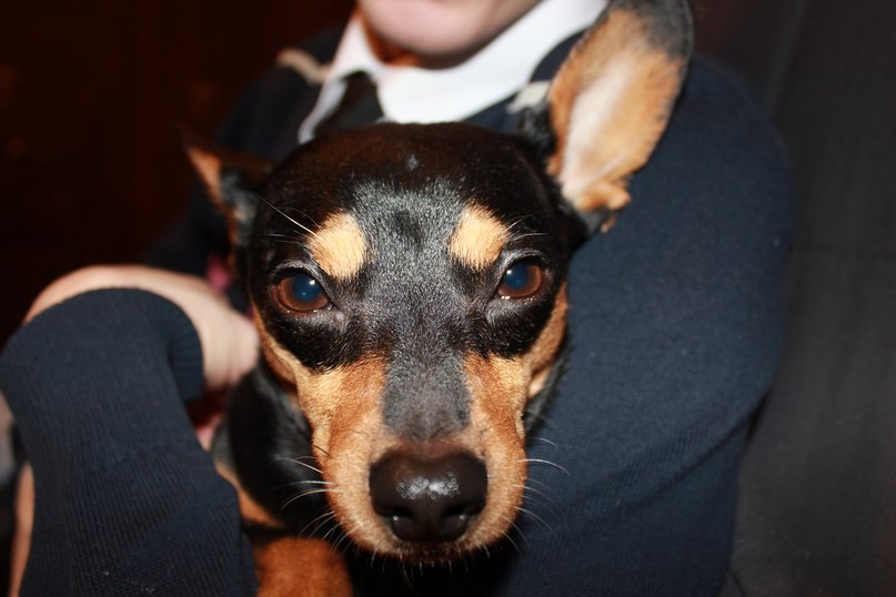 Илья Лыхин | Москва