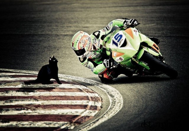 Krsk Weed Гаврош Харош :) | Красноярск