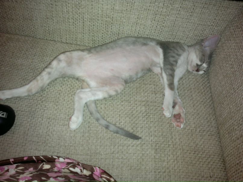 Людмила Андреева | Санкт-Петербург