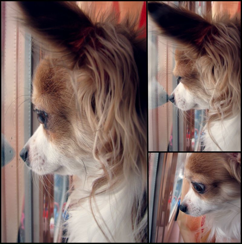 Викки Лазарева | Москва