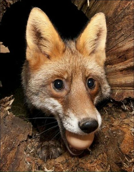 №167, Константин Тимофеев, Харьков №167, Константин Тимофеев, Харьков