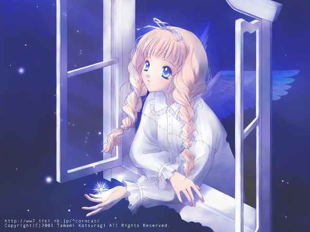 №12, Виктория Горбунова, 27 лет, Харьков №12, Виктория Горбунова, 27 лет, Харьков