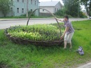 Фотография Борисовой Елены