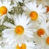 Аватар: Наталья Наталья