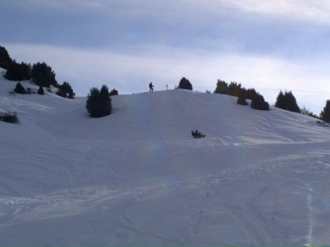 Алексей Ни | Алматы