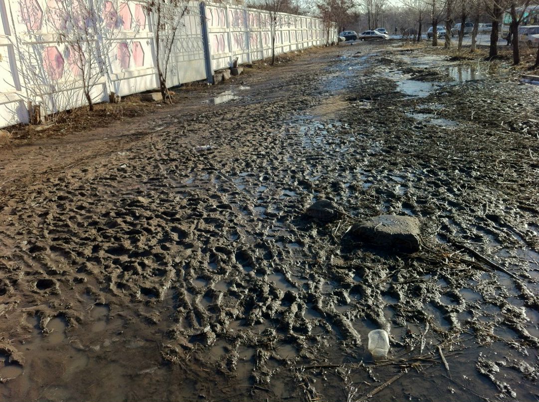 Митяша Нумеров | Воронеж