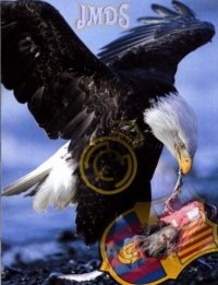 №4, David Villa, Москва №4, David Villa, Москва