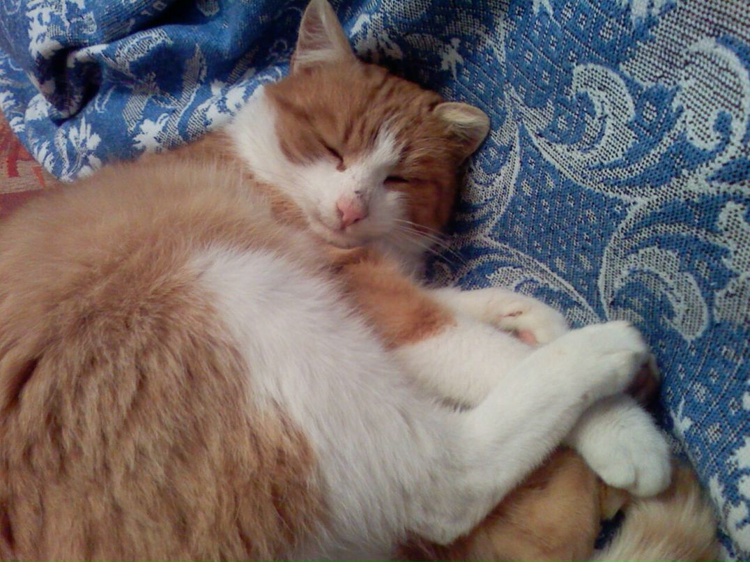 Светлана Мисинёва | Курск