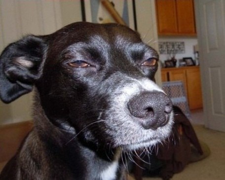 Александр Белоусов white | Екатеринбург