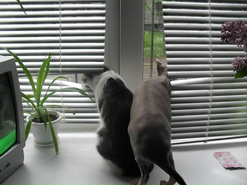 Andrei Kornev | Рыбинск