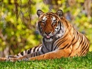 Фотография Esen Ali