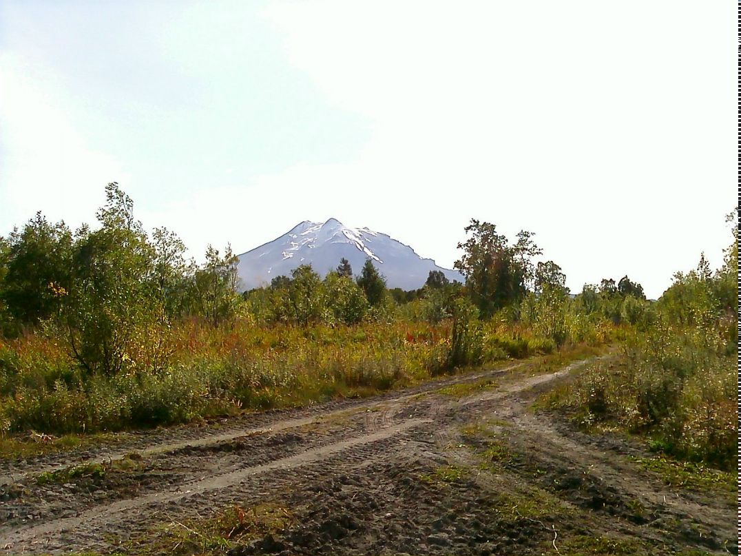 Валентина Березовская | Тихвин
