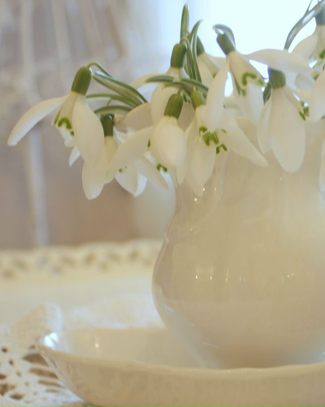 Ляна Мельцова | Санкт-Петербург