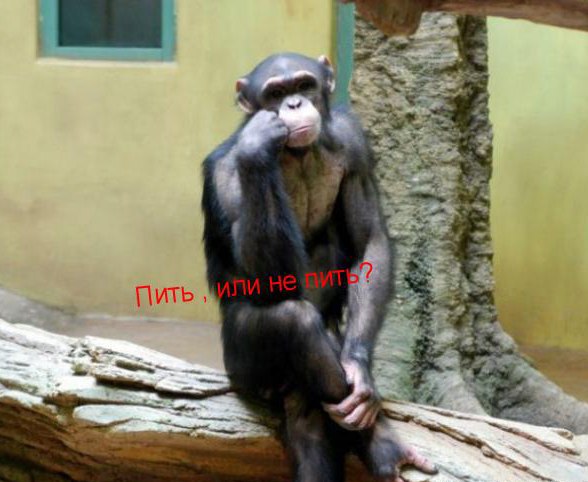 Ppps Fox | Каменское / Днепродзержинск