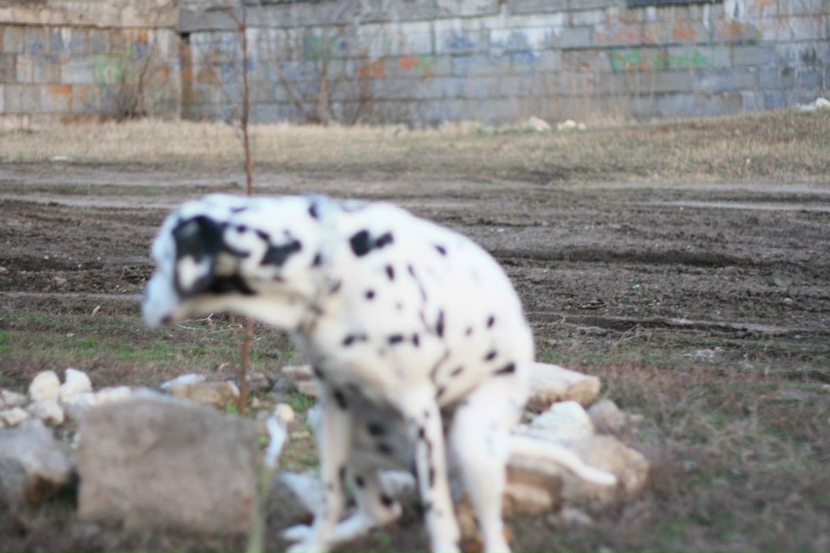 Славик Аджигитов | Москва