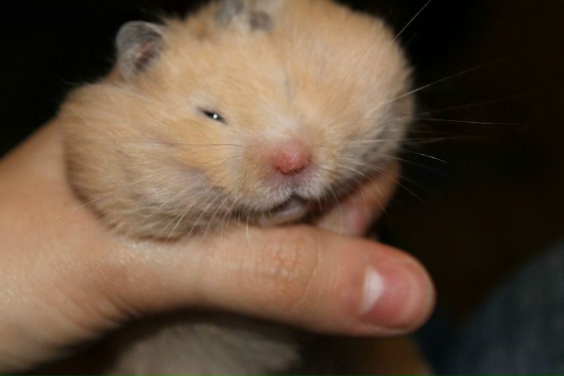 Петя Иванов | Новосибирск