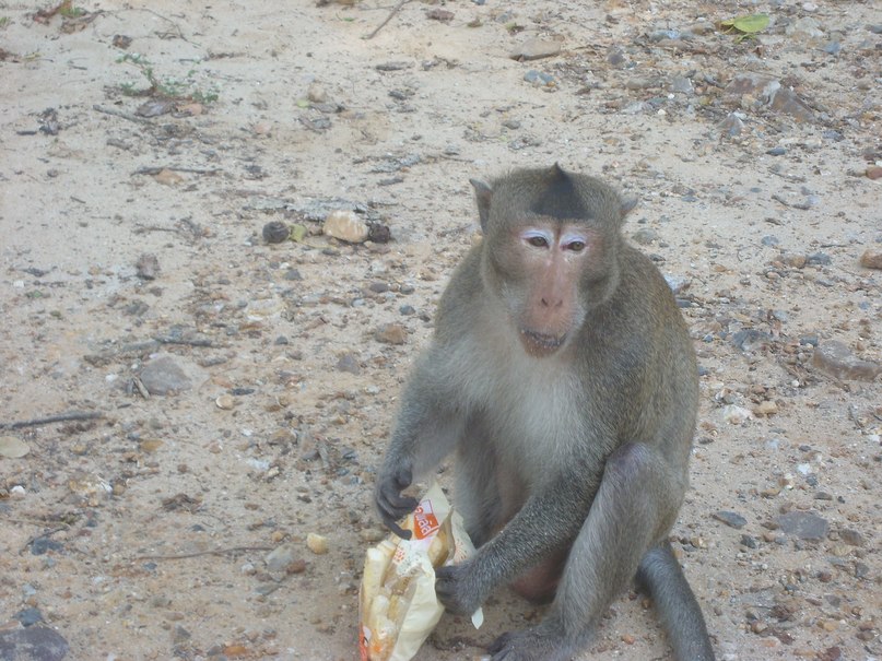 Марат Козлов | Нижний Новгород