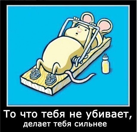 Анна Рыбка | Зеленогорск