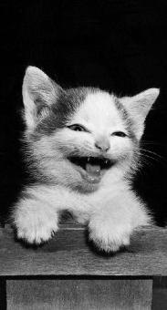 №27, Павел Насенков, Ейск, Россия №27, Павел Насенков, Ейск, Россия