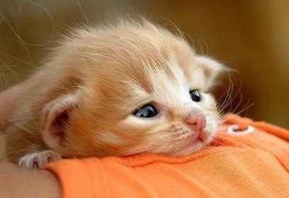 №15, Павел **** №15, Павел ****