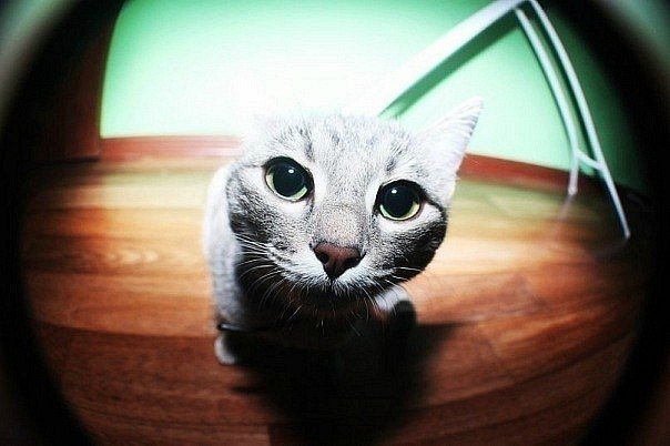 Павел Расюк | Новосибирск