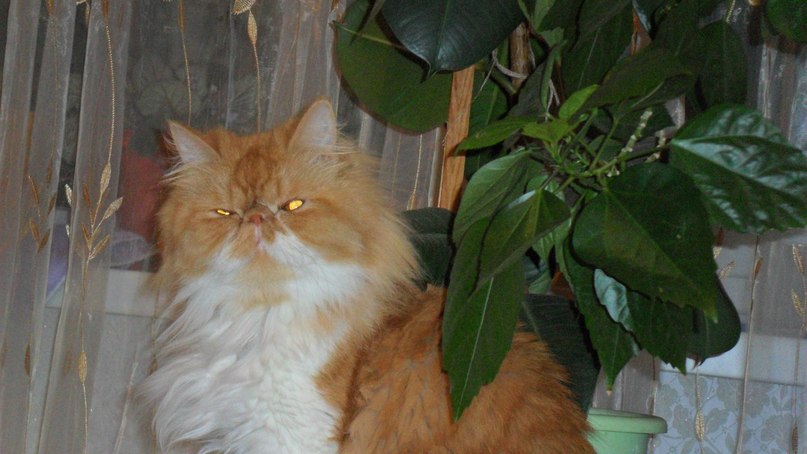 Михаил Гаврилов | Николаев