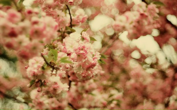 №9, Марина Мудролюбова, Санкт-Петербург, Россия №9, Марина Мудролюбова, Санкт-Петербург, Россия