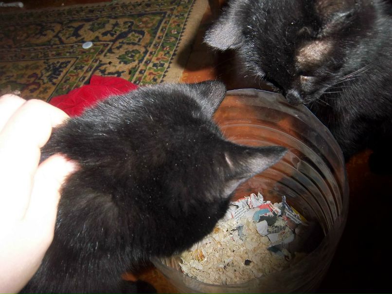 Надежда Сукачёва | Пестравка