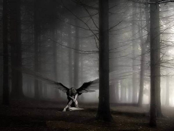 №24, Ольга Асанова, Мариуполь №24, Ольга Асанова, Мариуполь