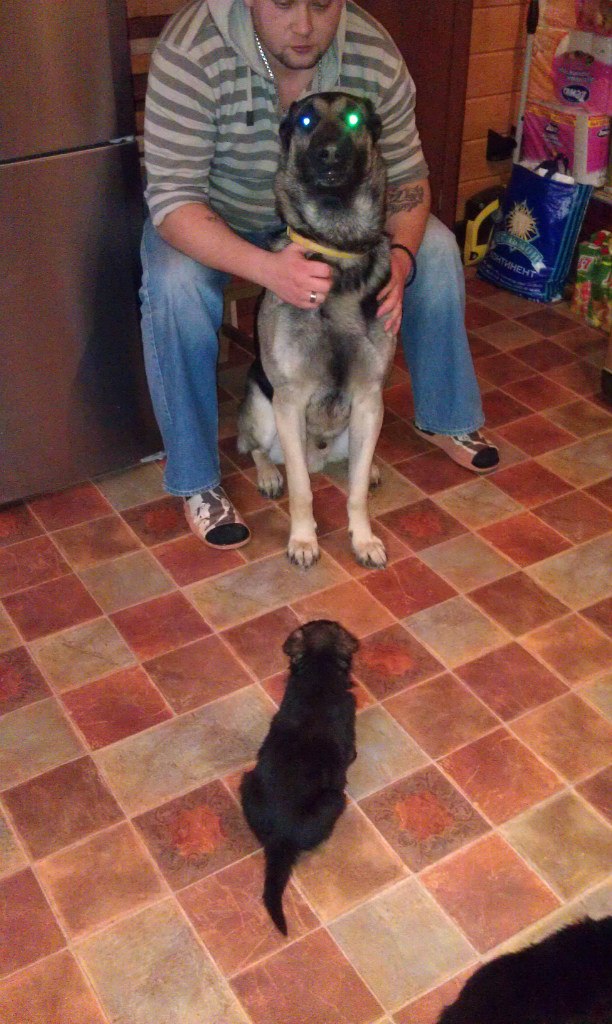 Дмитрий Скорятин Доброжизнь | Москва