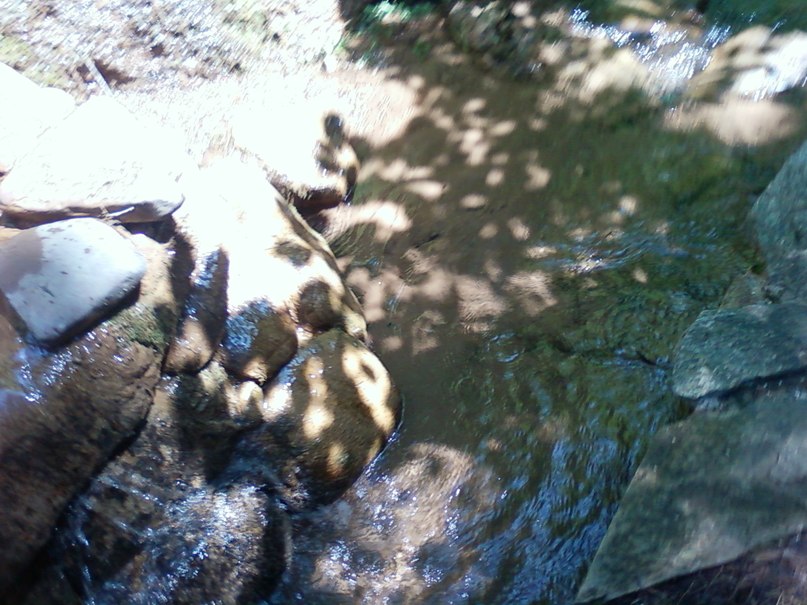 Катюшка Степанова | Чеганда