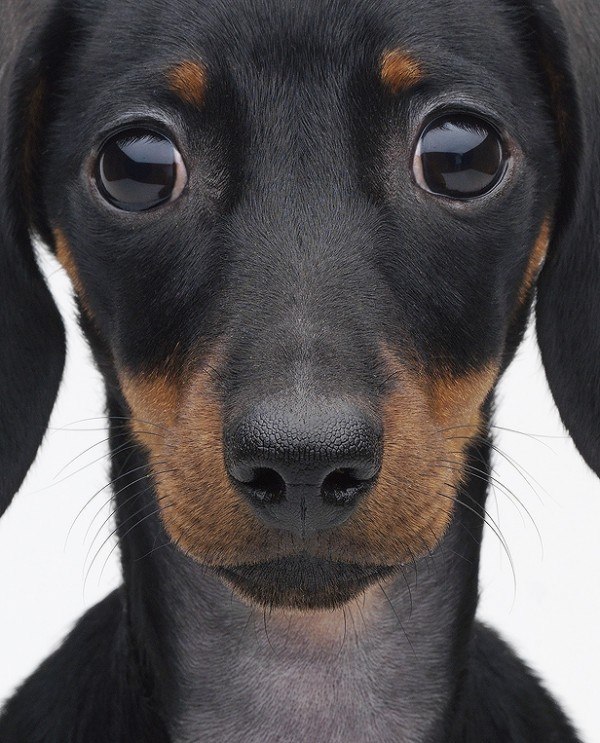 Бодік Іванюк | Харьков