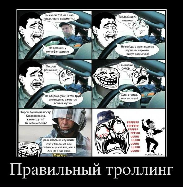 №31, Назар Хомишин, Львов №31, Назар Хомишин, Львов